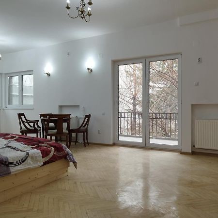 Central Appartment - Heart Of Bucharest - Sector 1 - New Renovated - Open Space Eksteriør bilde