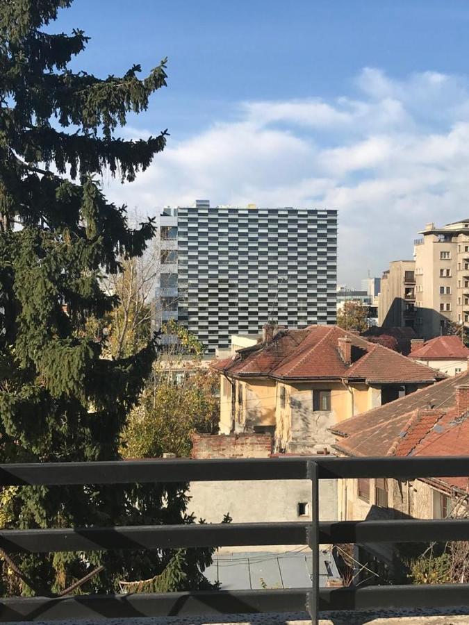 Central Appartment - Heart Of Bucharest - Sector 1 - New Renovated - Open Space Eksteriør bilde
