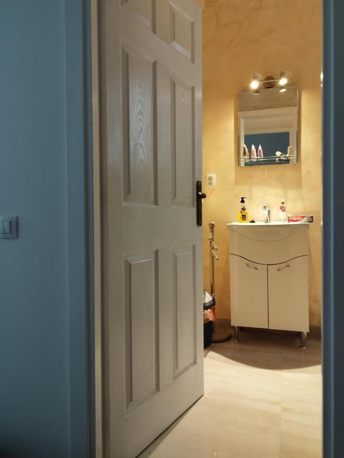 Central Appartment - Heart Of Bucharest - Sector 1 - New Renovated - Open Space Eksteriør bilde
