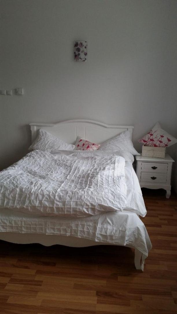 Central Appartment - Heart Of Bucharest - Sector 1 - New Renovated - Open Space Eksteriør bilde